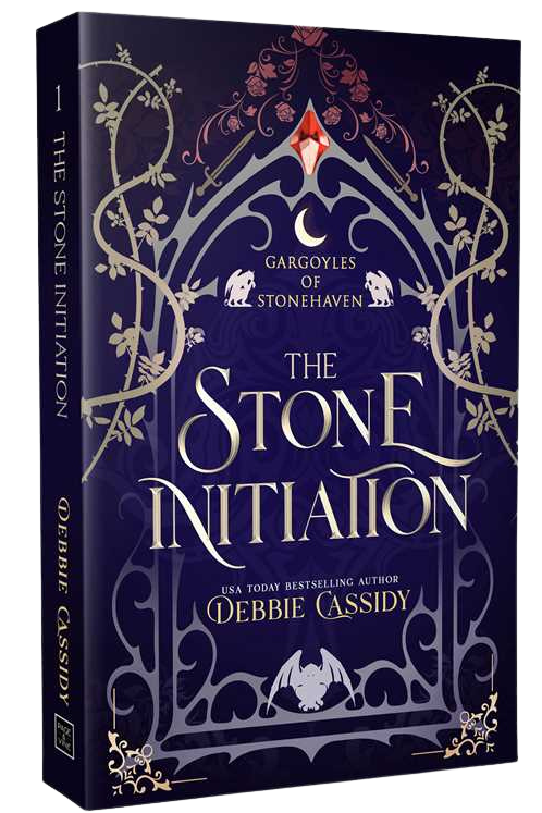 Book titled 'The Stone Initiation' by Debbie Cassidy with decorative cover design on embervale.ca